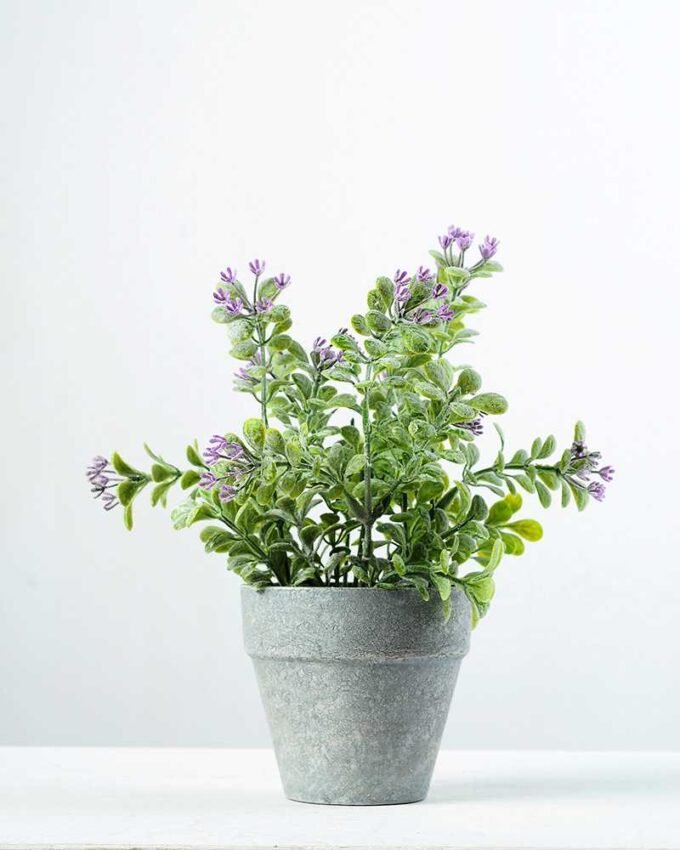 23cm Aglaia Odorata Leaves Silk Flower  in Paper Pulp pot