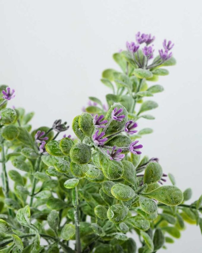 23cm Aglaia Odorata Leaves Silk Flower  in Paper Pulp pot