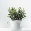 15cm Aglaia Odorata Leaves Artificial Plant  in Ceramic pot 1 15cm Aglaia Odorata Leaves Artificial Plant  in Ceramic pot