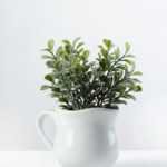15cm Aglaia Odorata Leaves Artificial Plant  in Ceramic pot