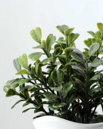 15cm Aglaia Odorata Leaves Artificial Plant  in Ceramic pot Potted Flowers&Plants YeahFlower is one of Chinese leading OEM manufacturers and exporters , supplying the silk flowers, wholesale artificial trees 15cm Aglaia Odorata Leaves Artificial Plant  in Ceramic pot