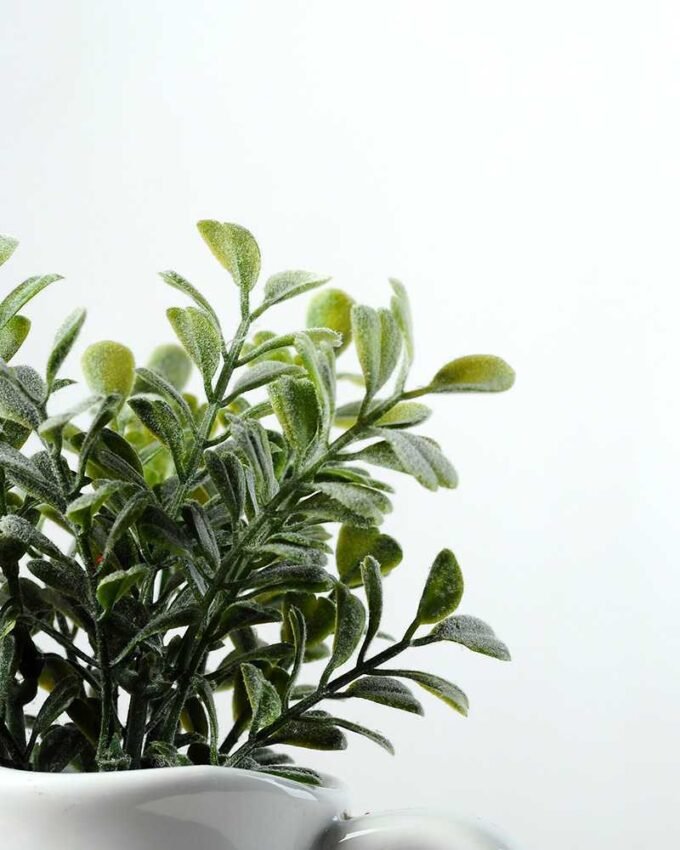 15cm Aglaia Odorata Leaves Artificial Plant  in Ceramic pot 3 15cm Aglaia Odorata Leaves Artificial Plant  in Ceramic pot