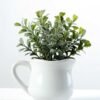 15cm Aglaia Odorata Leaves Artificial Plant  in Ceramic pot 4 15cm Aglaia Odorata Leaves Artificial Plant  in Ceramic pot