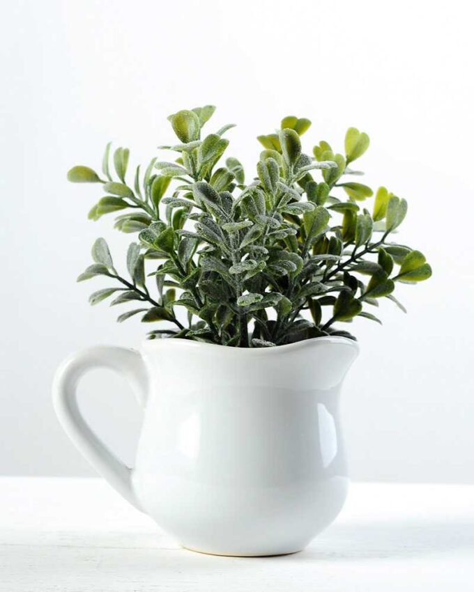 15cm Aglaia Odorata Leaves Artificial Plant  in Ceramic pot 4 15cm Aglaia Odorata Leaves Artificial Plant  in Ceramic pot
