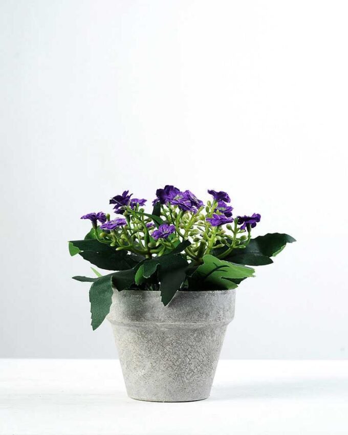13cm Aglaia Odorata Silk Flower  in Paper Pulp pot