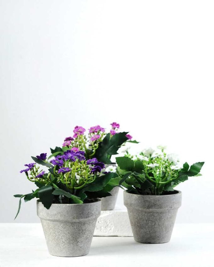 13cm Aglaia Odorata Silk Flower  in Paper Pulp pot