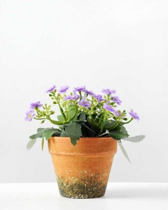 14cm Aglaia Odorata Silk Flower  in Paper Pulp pot