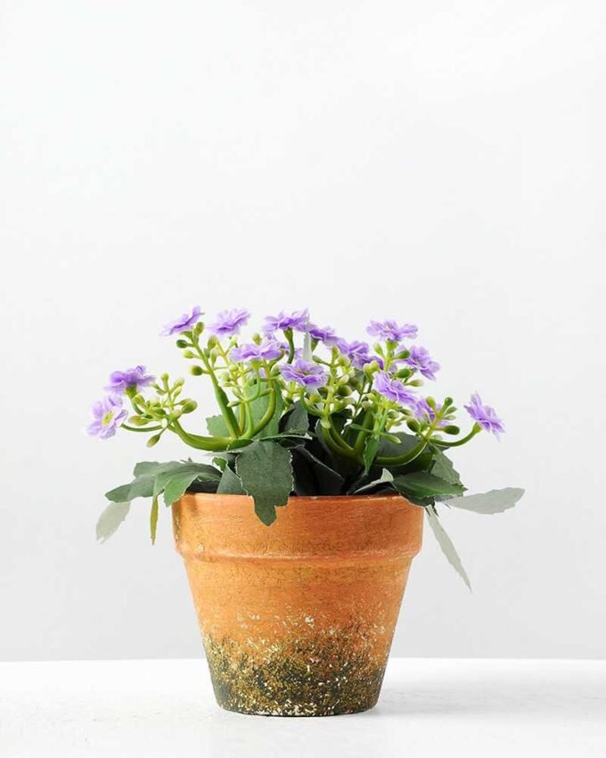 14cm Aglaia Odorata Silk Flower  in Paper Pulp pot