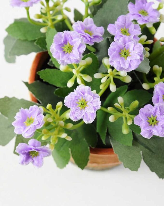 14cm Aglaia Odorata Silk Flower  in Paper Pulp pot