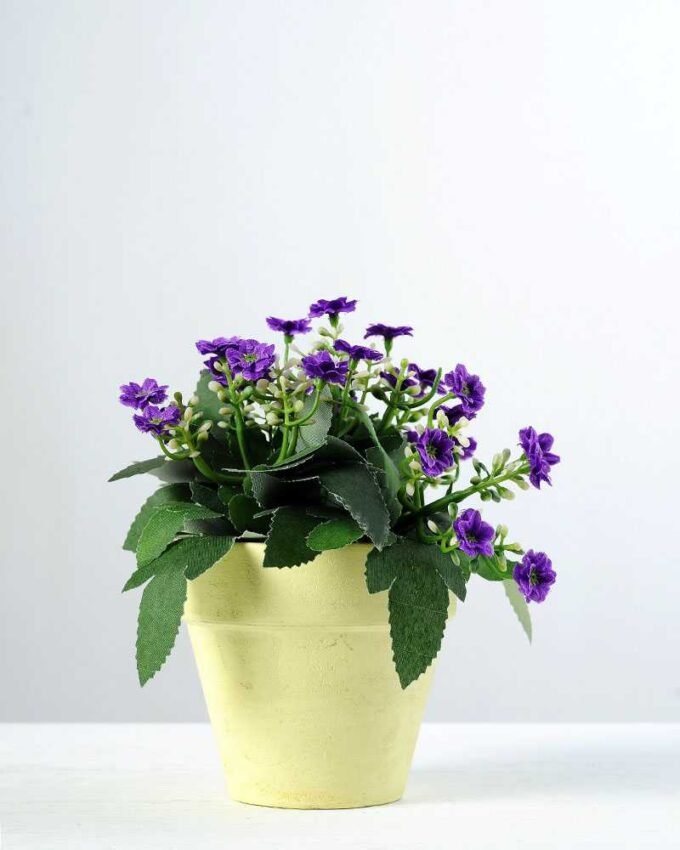 15cm Aglaia Odorata Silk Flower  in Paper Pulp pot