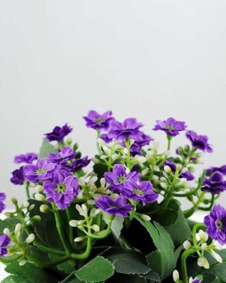 15cm Aglaia Odorata Silk Flower  in Paper Pulp pot