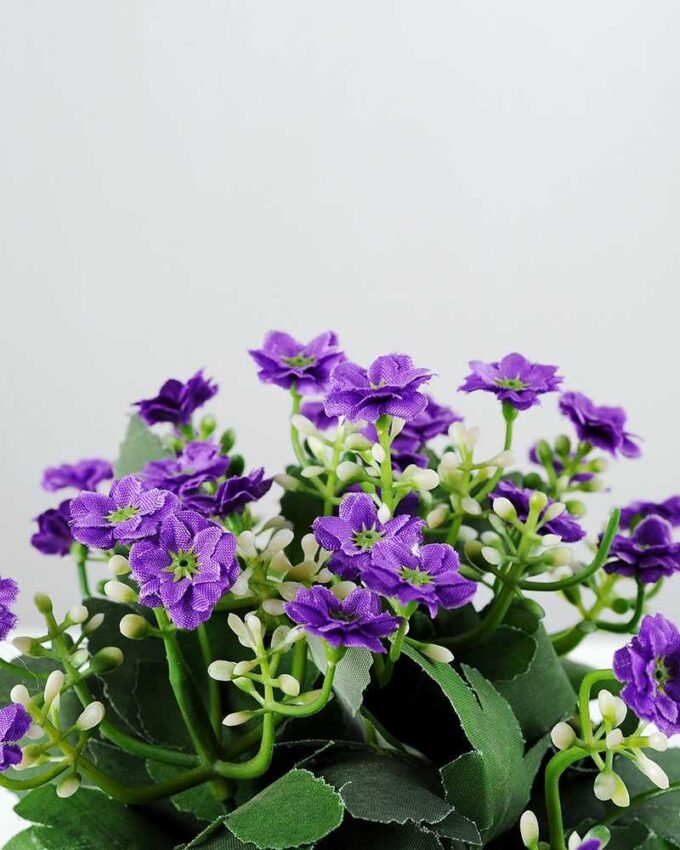 15cm Aglaia Odorata Silk Flower  in Paper Pulp pot