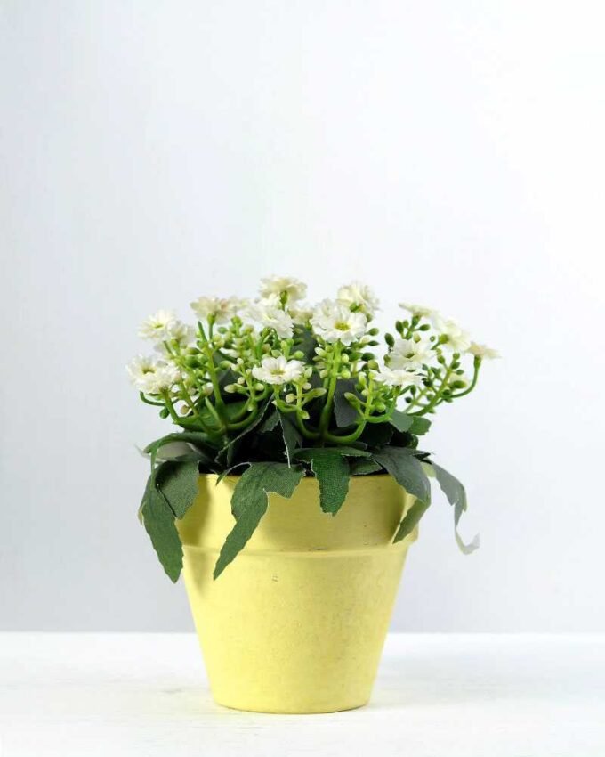 15cm Aglaia Odorata Silk Flower  in Paper Pulp pot