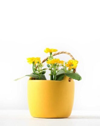 10cm Aglaia Odorata Silk Flower  in Ceramic pot Potted Flowers&Plants YeahFlower is one of Chinese leading OEM manufacturers and exporters , supplying the silk flowers, wholesale artificial trees 10cm Aglaia Odorata Silk Flower  in Ceramic pot