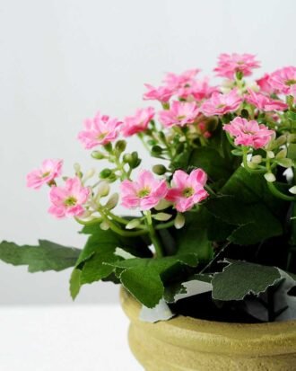 35 Heads  Aglaia Odorata Silk Flower  in Paper Pulp pot