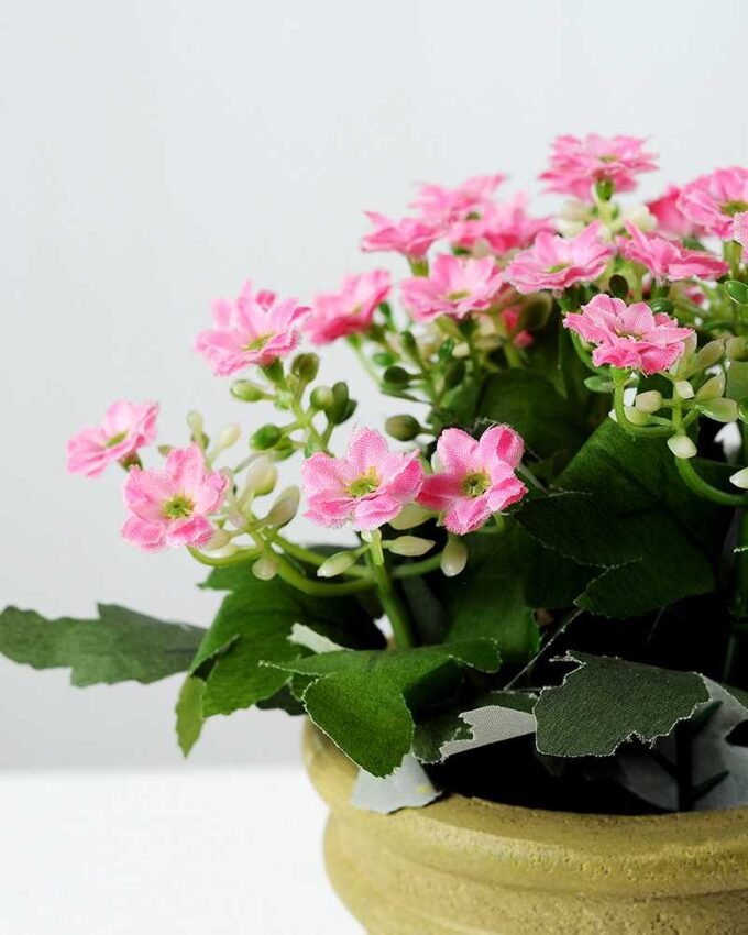 35 Heads  Aglaia Odorata Silk Flower  in Paper Pulp pot