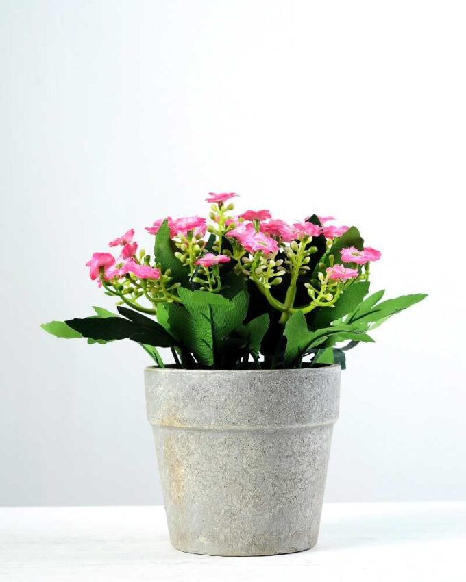 17cm Aglaia Odorata Silk Flower  in Paper Pulp pot