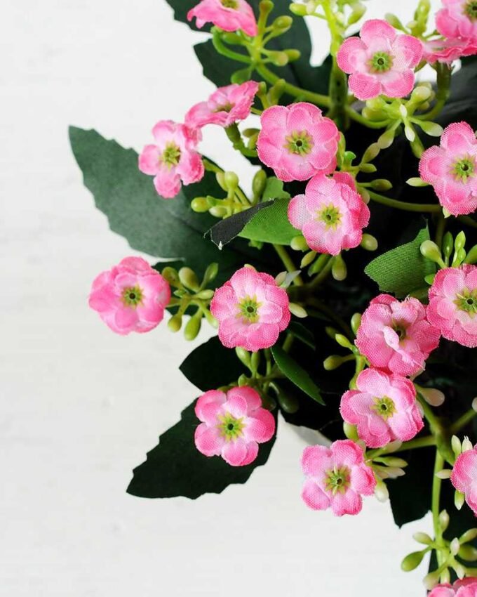 17cm Aglaia Odorata Silk Flower  in Paper Pulp pot