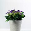 17cm Aglaia Odorata Silk Flower  in Paper Pulp pot