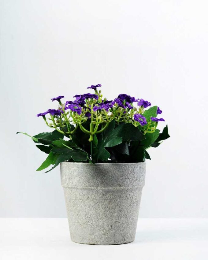 17cm Aglaia Odorata Silk Flower  in Paper Pulp pot