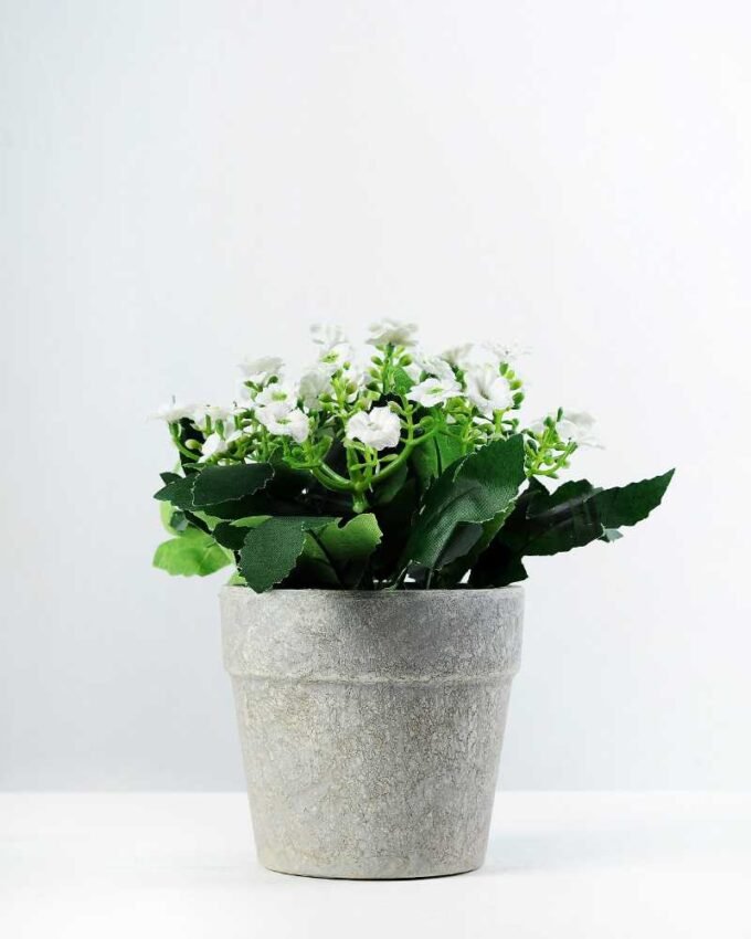 17cm Aglaia Odorata Silk Flower  in Paper Pulp pot