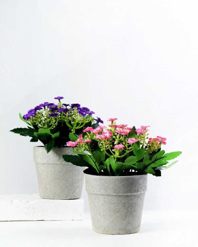 17cm Aglaia Odorata Silk Flower  in Paper Pulp pot
