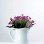 11cm Aglaia Odorata Silk Flower  in Metal Watering Can