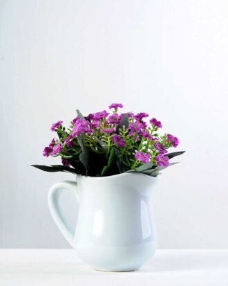 11cm Aglaia Odorata Silk Flower  in Metal Watering Can Potted Flowers&Plants YeahFlower is one of Chinese leading OEM manufacturers and exporters , supplying the silk flowers, wholesale artificial trees 11cm Aglaia Odorata Silk Flower  in Metal Watering Can