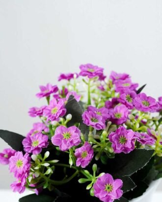 11cm Aglaia Odorata Silk Flower  in Metal Watering Can Potted Flowers&Plants YeahFlower is one of Chinese leading OEM manufacturers and exporters , supplying the silk flowers, wholesale artificial trees 11cm Aglaia Odorata Silk Flower  in Metal Watering Can