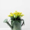 11cm Aglaia Odorata Silk Flower  in Metal Watering Can 5 11cm Aglaia Odorata Silk Flower  in Metal Watering Can