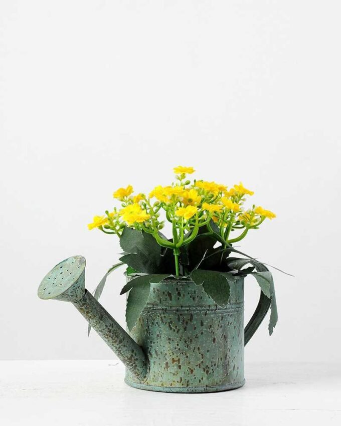 11cm Aglaia Odorata Silk Flower  in Metal Watering Can 5 11cm Aglaia Odorata Silk Flower  in Metal Watering Can