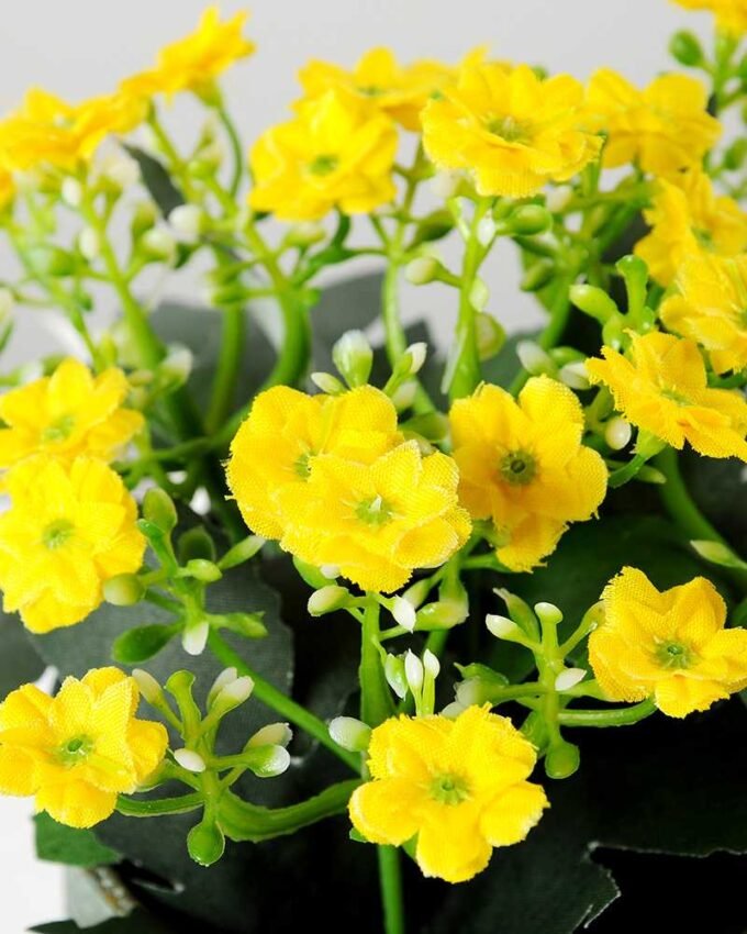 11cm Aglaia Odorata Silk Flower  in Metal Watering Can 7 11cm Aglaia Odorata Silk Flower  in Metal Watering Can