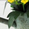 11cm Aglaia Odorata Silk Flower  in Metal Watering Can 8 11cm Aglaia Odorata Silk Flower  in Metal Watering Can