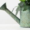 11cm Aglaia Odorata Silk Flower  in Metal Watering Can 9 11cm Aglaia Odorata Silk Flower  in Metal Watering Can