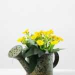 12cm Aglaia Odorata Silk Flower  in Metal Pot