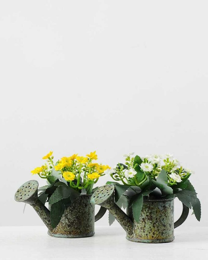 12cm Aglaia Odorata Silk Flower  in Metal Pot