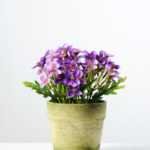 15cm Azalea Silk Flower  in Paper pulp pot