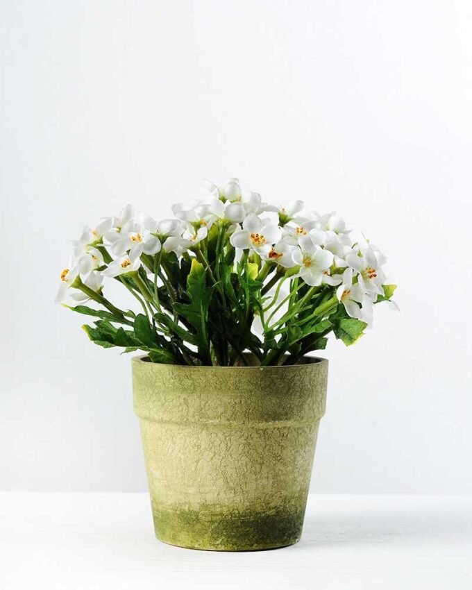 15cm Azalea Silk Flower  in Paper pulp pot