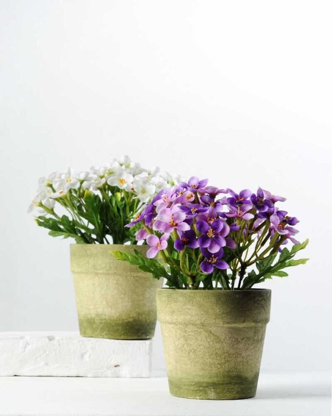 15cm Azalea Silk Flower  in Paper pulp pot