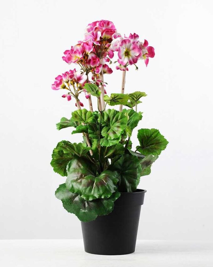 40cm Begonia Silk Flower  in Plastic pot 1 40cm Begonia Silk Flower  in Plastic pot
