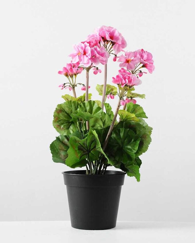 40cm Begonia Silk Flower  in Plastic pot 4 40cm Begonia Silk Flower  in Plastic pot