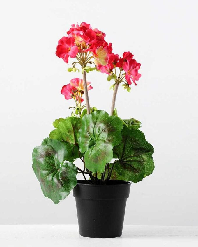 40cm Begonia Silk Flower  in Plastic pot 5 40cm Begonia Silk Flower  in Plastic pot