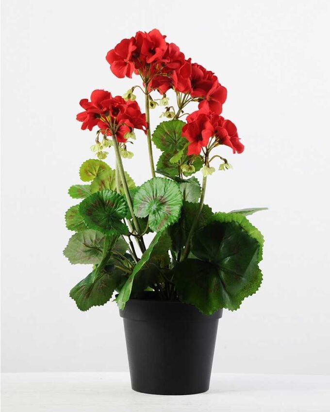 40cm Begonia Silk Flower  in Plastic pot 6 40cm Begonia Silk Flower  in Plastic pot