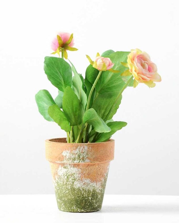 22cm Camellia Silk Flower  in Paper Pulp pot