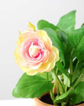 22cm Camellia Silk Flower  in Paper Pulp pot