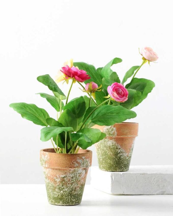 22cm Camellia Silk Flower  in Paper Pulp pot