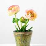 12cm Camellia Silk Flower  in Metal Pot