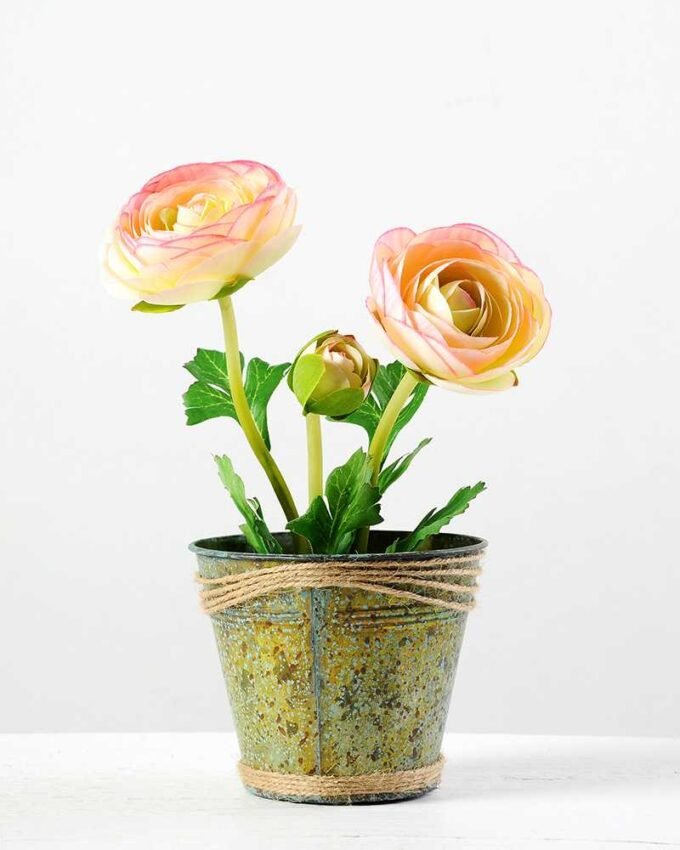 12cm Camellia Silk Flower  in Metal Pot