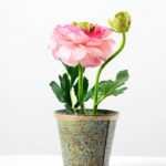 21cm Camellia Silk Flower  in Metal Pot