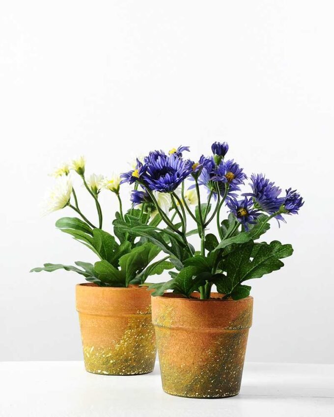 25cm Chrysanthemum Mums Silk Flower  in Paper Pulp pot